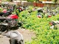 पोलीस ठाण्यातील भंगार डेंग्यूच्या डासांचा अड्डा - Marathi News | paolaisa-thaanayaataila-bhangaara-daengayauucayaa-daasaancaa-adadaa | Latest yavatmal News at Lokmat.com