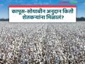 Cotton Soybean Subsidy : कापूस-सोयाबीन अनुदान तुम्हाला मिळालं? अनुदान वितरणाची गती का मंदावली? - Marathi News | Cotton Soybean Subsidy Did you get the cotton soybean subsidy Why has the speed of subsidy distribution slowed down? | Latest agriculture News at Lokmat.com