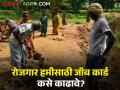 रोजगार हमी योजनेतून जॉबकार्ड कसे काढावे? - Marathi News | | Latest agriculture News at Lokmat.com