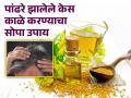 पांढरे झालेले केस काळे करण्याचा बेस्ट उपाय, मोहरीच्या तेलाचा असा करा वापर! - Marathi News | How to use mustard oil and fenugreek seeds for gray hair | Latest health News at Lokmat.com