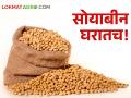 हमीभावही मिळत नसल्याने शेतकऱ्यांचे सोयाबीन घरातच - Marathi News | Farmers' soybeans are kept at home as there is no guaranteed price | Latest agriculture News at Lokmat.com