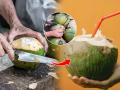 शहाळं खरेदी करताना लक्षात ठेवा ५ गोष्टी! निवडा भरपूर पाणी असलेलं गोड शहाळं झटपट - Marathi News | How To Choose Perfect Tender Coconut : 5 things to keep in mind while buying Tender Coconut Choose coconut with lots of fresh water | Latest sakhi News at Lokmat.com