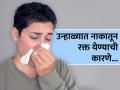 उन्हाळ्यात नाकातून येणारं रक्त थांबवण्यासाठी करा हे सोपे घरगुती उपाय! - Marathi News | How to stop nose bleeding in summer | Latest health News at Lokmat.com