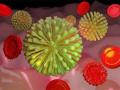 Coronavirus: जर ‘असं’ झालं तर कोरोना व्हायरसचा संसर्ग रोखणं कोणालाच शक्य होणार नाही - Marathi News | Coronavirus: If this is the case, no one will be able to prevent the coronavirus infection pnm | Latest international Photos at Lokmat.com