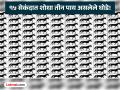 नजर तीक्ष्ण असेल तरच शोधून शकाल फोटोतील ३ पाय असलेले घोडे, १५ सेकंदाची आहे वेळ! - Marathi News | Optical Illusion : Can you spot the horses with three legs | Latest social-viral News at Lokmat.com