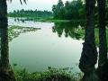 नाव उलटल्याने दाेन तरुणांचा तलावात बुडून मृत्यू - Marathi News | Two youth drowned in the lake | Latest nagpur News at Lokmat.com