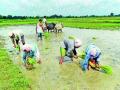 भूमिहीनांना शेतजमिनीचा लाभ देण्याची मागणी - Marathi News | Demand for the benefit of the landowners | Latest nashik News at Lokmat.com