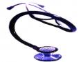 गिरणारे परिसरात बोगस डॉक्टरांचा सुळसुळाट - Marathi News | Bogus doctor's recovery in the falling area | Latest nashik News at Lokmat.com