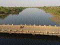 परतूरचा १ कोटी १० लाखांचा टंचाई आराखडा - Marathi News | Scarcity Plan of Rs.1 crore 10 lakh | Latest jalana News at Lokmat.com