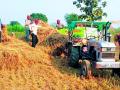 उत्पन्नापेक्षा कापणी-मळणीचा खर्च अधिक - Marathi News | The cost of harvesting is higher than the cost of harvesting | Latest bhandara News at Lokmat.com