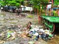 बुलडाणा शहरात घाणीमुळे नागरिकांचे आरोग्य धोक्यात - Marathi News | Buldhana city threatens health of citizens due to dirt | Latest akola News at Lokmat.com