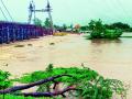 जिल्ह्यात संततधार - Marathi News | Offspring in the district | Latest chandrapur News at Lokmat.com