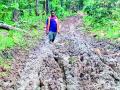 चिखलातून गाठावे लागते येडसिली - Marathi News | It is necessary to get rid of the mud | Latest gadchiroli News at Lokmat.com