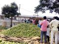 आवक वाढूनही मोेसंबीला भाव मिळेना - Marathi News | Citrus limetta does not getting proper rate | Latest jalana News at Lokmat.com
