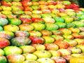 नाशिकमधून होणारी आंब्याची निर्यात बंद - Marathi News | Mango export from Nashik stopped | Latest nashik News at Lokmat.com