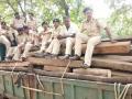 बारी येथे दहा लाखांचा लाकूडसाठा जप्त - Marathi News | One million wooden stocks seized at Bari | Latest nandurbar News at Lokmat.com