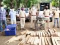 नवापूर जवळ साग लाकडासह मुद्देमाल जप्त - Marathi News | Items seized along with teak near Navapur | Latest nandurbar News at Lokmat.com
