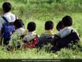 खापराळे जिल्हा परिषद शाळेची दूरवस्था - Marathi News |  Khaprala District Council School Dist | Latest nashik News at Lokmat.com