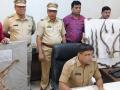 मृगाजीनसह शिंगांची तस्करी करणारी टोळी मुंब्य्रात जेरबंद - Marathi News | The gang that smuggled horns along with Mriganj, was seized in Mumbra | Latest thane News at Lokmat.com