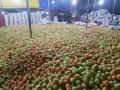 कळवण तालुक्यातील टमाटा मध्यप्रदेश गुजरातमधे दाखल - Marathi News | Tomatoes from Kalvan taluka arrive in Madhya Pradesh Gujarat | Latest nashik News at Lokmat.com