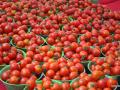 टमाटयाचे भाव घसरले - Marathi News |  Tomatoes have declined | Latest nashik News at Lokmat.com