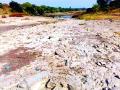नदी पडली कोरडी, दुष्काळाची चाहुल - Marathi News | The river falls into dry, drought | Latest vardha News at Lokmat.com