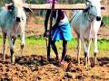 शेतमालाला १५० टक्के भाव वाढीचे कायम धोरण स्वीकारा - Marathi News |  Accept the current policy of 150% increase in the farmland | Latest vardha News at Lokmat.com