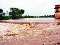 संततधार पावसाने नदी-नाले तुडूंब - Marathi News | Rivers drain with torrential rains | Latest yavatmal News at Lokmat.com