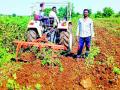 शेतकऱ्याने कपाशीत फिरविला नांगर - Marathi News | The farmer turned the plow into cotton | Latest yavatmal News at Lokmat.com