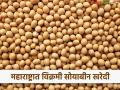 Soybean : महाराष्ट्रात यंदा ११ लाख २१ हजार मेट्रिक टन सोयाबीनची ऐतिहासिक खरेदी - Marathi News | Historic purchase of 11 lakh 21 thousand metric tons of soybeans in Maharashtra this year | Latest agriculture News at Lokmat.com