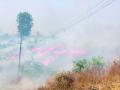 मेळघाट व्याघ्र प्रकल्पालगत पोपटखेड परिसरात वणवा - Marathi News | Fire in Popatkhed area near Melghat Tiger Project | Latest akola News at Lokmat.com