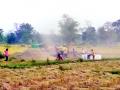 उन्हाळी धानाच्या कापणीसह मळणीला वेग - Marathi News | Speed threshing with summer grain harvest | Latest bhandara News at Lokmat.com