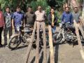  गुजरदरीत तोडलेले सागवानी लाकूड केले हस्तगत - Marathi News | Captured teak wood cut in Gujarati | Latest jalgaon News at Lokmat.com