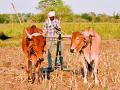 जमिनीचा पोत व पाण्याचा समतोल साधूनच पेरणी करा - Marathi News | Sow with balanced soil texture and water | Latest chandrapur News at Lokmat.com