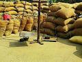 ३ पासून धान खरेदी केंद्र सुरू होणार - Marathi News | Paddy Shopping Center will be opened from 3 | Latest gadchiroli News at Lokmat.com