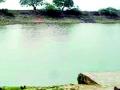 संततधार पावसाने ३१ तलावांनी गाठली शंभरी - Marathi News | Sankhavri reached by 31 lakes with continuous rains | Latest gondia News at Lokmat.com