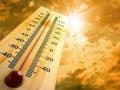 उन्हाचा पारा गेला ४0 अंशांच्या पुढे - Marathi News |  The heat has gone beyond 40 degrees | Latest hingoli News at Lokmat.com