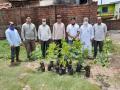 औषधी रोपटयांचे इगतपुरीत रोपण - Marathi News | Igatpuri planting of medicinal plants | Latest nashik News at Lokmat.com
