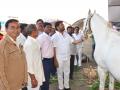 पशु प्रदर्शनाची तयारी अंतिम टप्प्यात - Marathi News | In the last stage of preparing animal expo | Latest jalana News at Lokmat.com