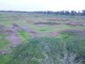 न्यायडोंगरी परिसरात पावसामुळे पिकांना जीवदान - Marathi News |  Due to the rains in the Nyayadongri area, the life of the crop is dry but the dam is dry | Latest nashik News at Lokmat.com