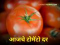 Tomato Market Rates : बाजार समितीमध्ये आज टोमॅटोला किती मिळाला दर? - Marathi News | Tomato Market Rates: How much did tomato get today in the market committee? | Latest agriculture News at Lokmat.com