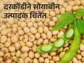 Soybean Market : सोयाबीन काढणी तोंडावर येऊनही भाव पडलेलेच; यंदा सोयाबीनला हमीभाव मिळणार का? - Marathi News | Soybean Market: Despite the harvest of soybeans, prices have fallen; Will soybeans get guaranteed price this year? | Latest agriculture News at Lokmat.com