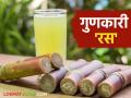 Health Benefits of Sugarcane Juice : यंदाच्या हंगामात दुर्लक्ष करू नका; महागड्या औषधांपेक्षा ऊसाचा रस अधिक प्रभावी - Marathi News | Health Benefits of Sugarcane Juice : Don't ignore this season; Sugarcane juice is more effective than expensive drugs | Latest agriculture News at Lokmat.com