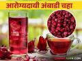 Ambadi Tea : विविध आजारांवर मात करणारा आरोग्यदायी अंबाडी चहा - Marathi News | Ambadi Tea : Healthy flax tea that overcomes various diseases | Latest agriculture News at Lokmat.com
