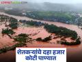 मराठवाड्यातील सोयाबीन, कापूस पिकांना बसला अतिवृष्टीचा जोरदार फटका; उत्पादकांचे दहा हजार कोटी पाण्यात - Marathi News | Soybean and cotton crops in Marathwada hit hard by heavy rains; Producers lose Rs 10,000 crore in water | Latest agriculture News at Lokmat.com