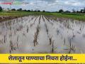 पाण्याचा निचरा होईना; पिकांमध्ये साचले पावसाचे पाणी - Marathi News | No water drainage; Rain water accumulated in crops | Latest agriculture News at Lokmat.com