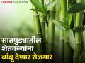 सातपुड्यातील शेतकरी कुटुंबांच्या रोजगार आणि उत्पन्नासाठी राबविले जाणार बांबू मिशन - Marathi News | Bamboo Mission to be implemented for employment and income of farming families in Satpura | Latest agriculture News at Lokmat.com
