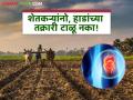 कामाच्या आवाक्यात उद्भवू शकतो आजार; शेतकरी बांधवांनो हाडांच्या समस्येकडे दुर्लक्ष होऊ देऊ नका - Marathi News | Diseases can arise in the workplace; Farmers, do not let bone problems be ignored | Latest agriculture News at Lokmat.com