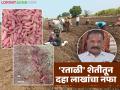 तब्बल २५० क्विंटल उत्पादन अन् १० लाखांचा नफा; फायद्याच्या 'रताळी' शेतीची वाचा यशकथा - Marathi News | A whopping 250 quintals of production and a profit of 10 lakhs; Read the success story of profitable 'sweet potato' farming | Latest agriculture News at Lokmat.com