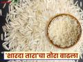 Rice Market Rate : 'शारदा तारा'ची चव भारी पण खिशाला मारी; गतवर्षीच्या तुलनेत यंदा दरात वाढ - Marathi News | Rice Market Rate: 'Sharda Tara' tastes great but hits the pocket; Price increase this year compared to last year | Latest agriculture News at Lokmat.com